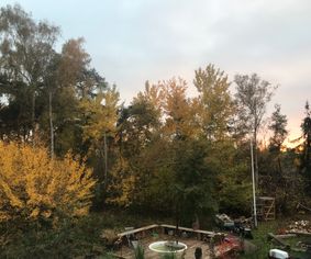 The garden in the fall